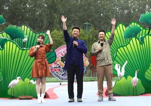 网红湾最新爆料新闻视频,最新爆料新闻视频幕后真相大起底